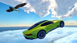 Fast and Wild in Sky