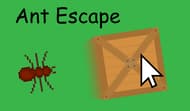 Ant Escape