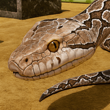 Anaconda Escape Simulator