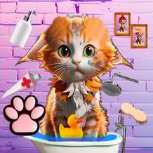 Help the kitten. Pets.