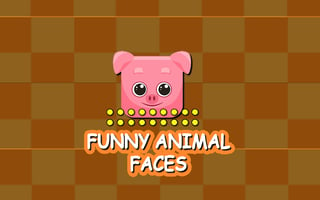 Funny Animal Faces