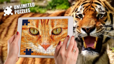 Unlimited Jigsaw Puzzles