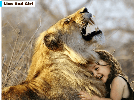 Lion And Girl Jigsaw