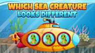 Which Sea Creature Looks Different
