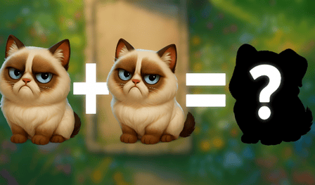 A evolução dos gatos