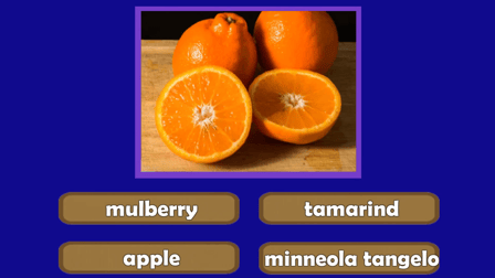 Guess The Fruit World Quiz - Screenshot 3