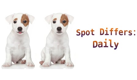 Spot Differs: Daily