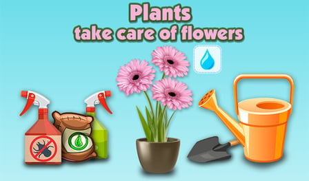 Plants - take care of flowers