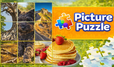Picture Puzzle