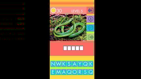 Picture Quiz
