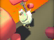 The Lost Chicken