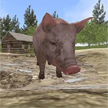 Village Pig Simulator