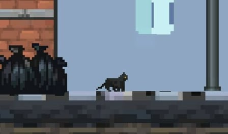 A street cat!