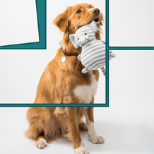 Assemble the picture from the blocks