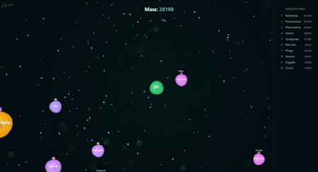 Micro.io - Screenshot 1