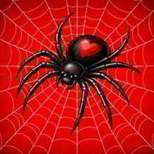 Spider Solitaire Online 1 - 2 - 4 suits