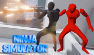 Ninja Simulator