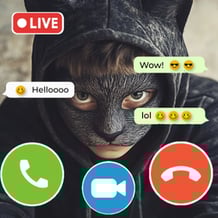 Call Quadrobears: Fake Chat - Clicker Evolution