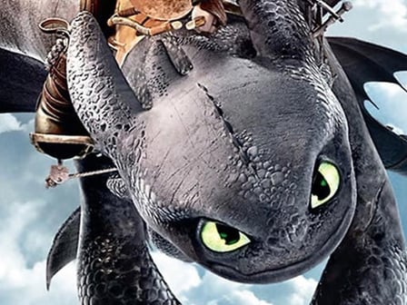 How To Train Your Dragon Jigsaw Puzzle Collection