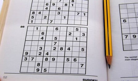 The Master of Sudoku