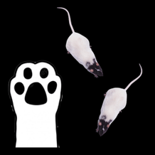Game for cats - mad mice
