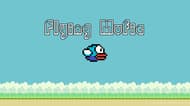 Flying Mufic