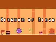 Kingdom of Ninja
