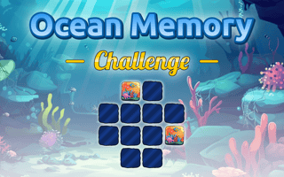 Ocean Memory Challenge