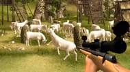 Crazy Goat Hunter 2020