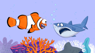 King Of The Ocean