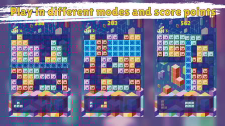 Block's Form - Screenshot 1