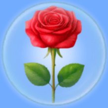 Sort your garden flowers