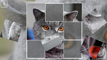 CatCollection: 48 Breeds - Screenshot 2