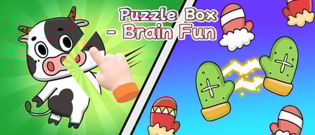 Puzzle Box Brain Fun