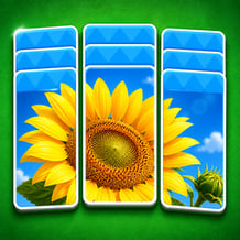 Pic - Sol: Collect the Picture