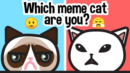 Which meme cat are you?