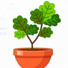 ASMR Terrarium Clicker