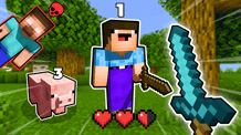 Block Battle: Noob vs Pro
