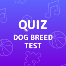 Dog Breed Test Quiz