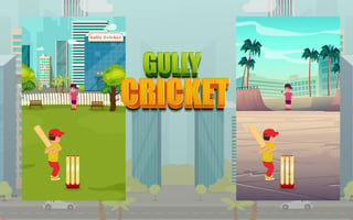 Gully Cricket