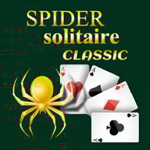 Spider Solitaire Pro