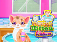 Little Princess Kitten Rescue