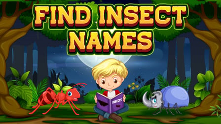 Find Insects Names