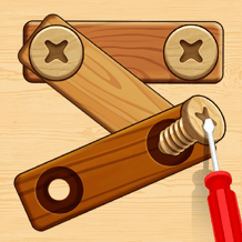 Screw Puzzle