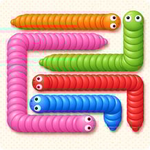 Twisted Snakes: Brain Puzzle