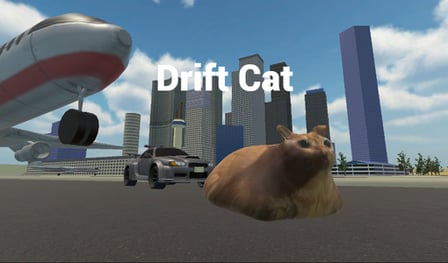 Drift Cat