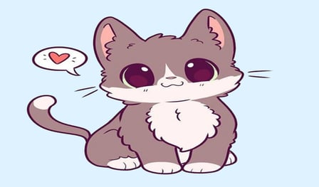 Catch the kitten