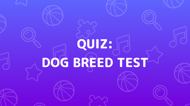 Dog Breed Test Quiz