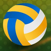 Head Volleyball