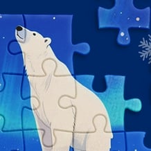 Snow puzzles